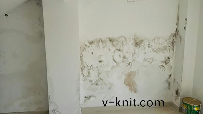 牆麵滲水怎麼處理?教妳正確使用防水塗料