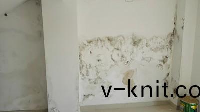 牆麵滲(shen)水怎麼(me)處理?教妳正確使用防水塗料