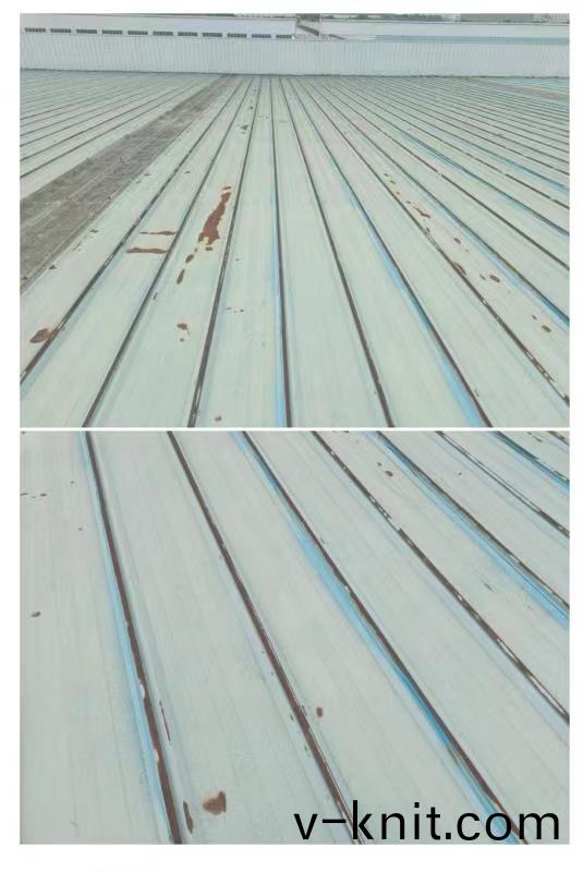 百度圖片_20230710135616